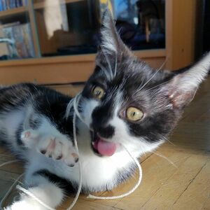 Fundraising Page: JESEC GRIFFIN